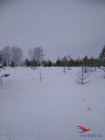 Земельный участок поселок Баженово в Ейске - ejsk.yutvil.ru - фото 3