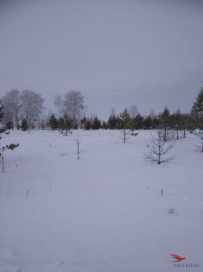 Баженово ул Южная д 7 в Ейске - ejsk.yutvil.ru - фото 2