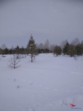 Баженово ул Южная д 7 в Ейске - ejsk.yutvil.ru - фото 5