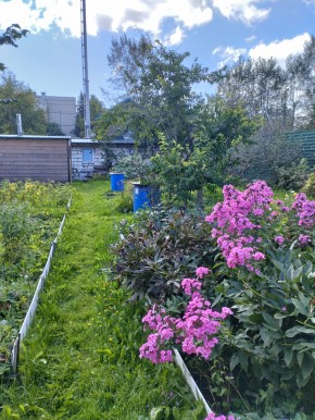 Коллективный сад номер 7, участок 58 в Ейске - ejsk.yutvil.ru - фото 23 Коллективный сад номер 7, участок 58 в Ейске - ejsk.yutvil.ru - фото 23