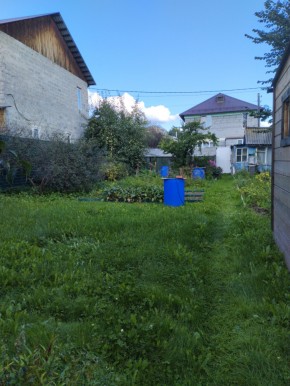 Коллективный сад номер 7, участок 58 в Ейске - ejsk.yutvil.ru - фото 26 Коллективный сад номер 7, участок 58 в Ейске - ejsk.yutvil.ru - фото 26
