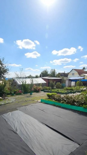 СНТ Машиностроитель, уч.166 в Ейске - ejsk.yutvil.ru - фото 17 СНТ Машиностроитель, уч.166 в Ейске - ejsk.yutvil.ru - фото 17