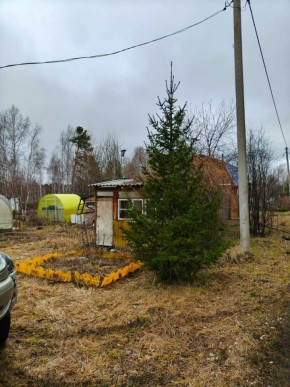 СНТ Родники в Ейске - ejsk.yutvil.ru - фото 5