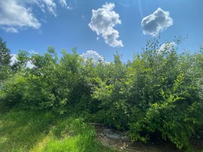 СПК Юбилейный, уч. 9 в Ейске - ejsk.yutvil.ru - фото 15