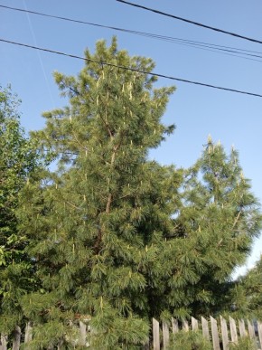 ул. Полынная,29 в Ейске - ejsk.yutvil.ru - фото 18